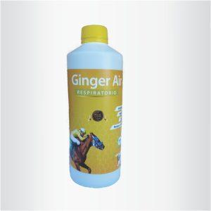 Ginger Air