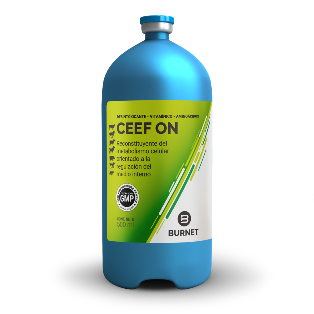 Ceef-On