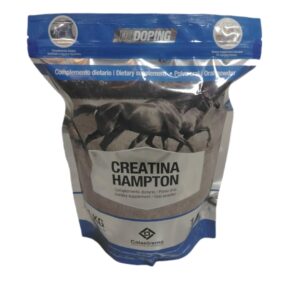 Creatina Hampton 1kg